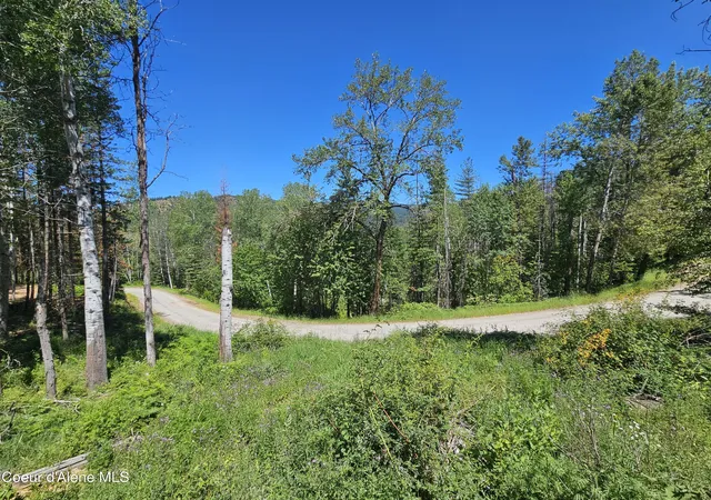 Homes for sale in Kellogg, ID | 996 Polaris Peak Rd Lot 2, Kellogg, ID 83837 | MLS# 26-7233