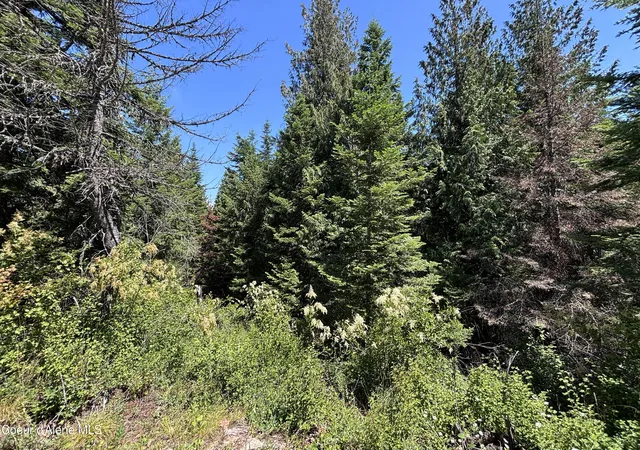 4th image of Lot 6 White Cloud Dr, Sandpoint, ID 83864 | MLS# 26-7184