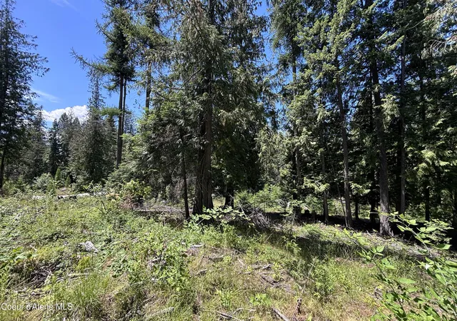 5th image of Lot 6 White Cloud Dr, Sandpoint, ID 83864 | MLS# 26-7184