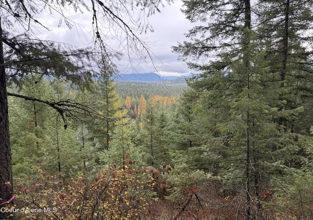 Land for sale at Nka E Forest View Rd, Athol, ID 83801 | MLS# 26-7434