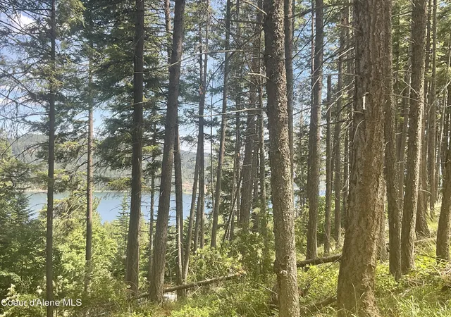 4th image of Nka Bella Vista, Worley, ID 83876 | MLS# 26-7206