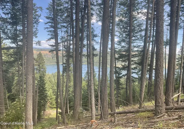 5th image of Nka Bella Vista, Worley, ID 83876 | MLS# 26-7206