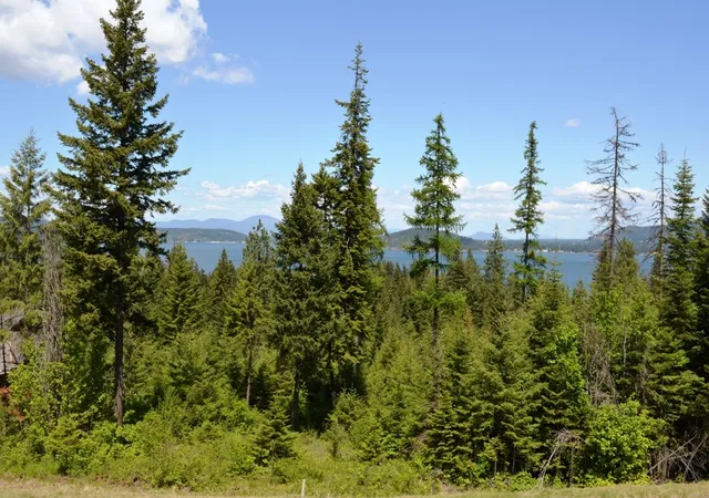 1st image of 5343 S Jackleg Trl, Harrison, ID 83833 | MLS# 26-7205