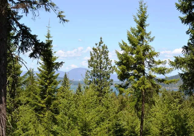 2nd image of 5343 S Jackleg Trl, Harrison, ID 83833 | MLS# 26-7205