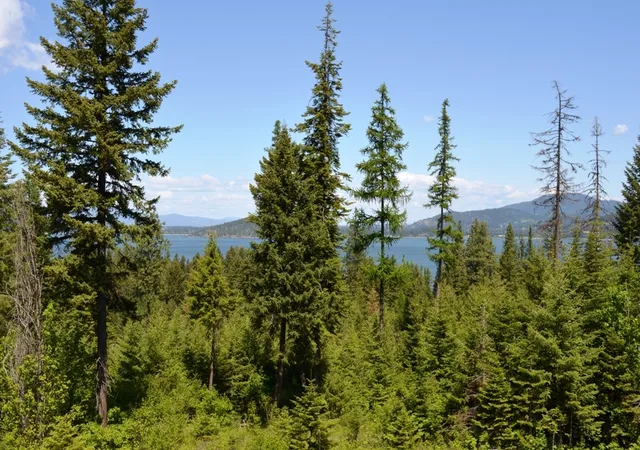 3rd image of 5343 S Jackleg Trl, Harrison, ID 83833 | MLS# 26-7205