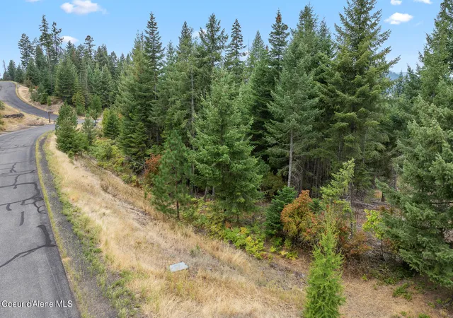 4th image of 5343 S Jackleg Trl, Harrison, ID 83833 | MLS# 26-7205