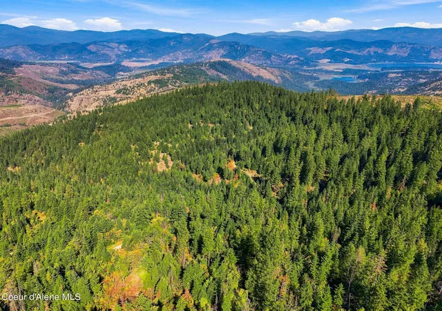 Photo 3 of Land for sale at Nka Black Rock Rd, Cataldo, ID 83810 | MLS# 26-8639 | Listing updated on 2026-08-31
