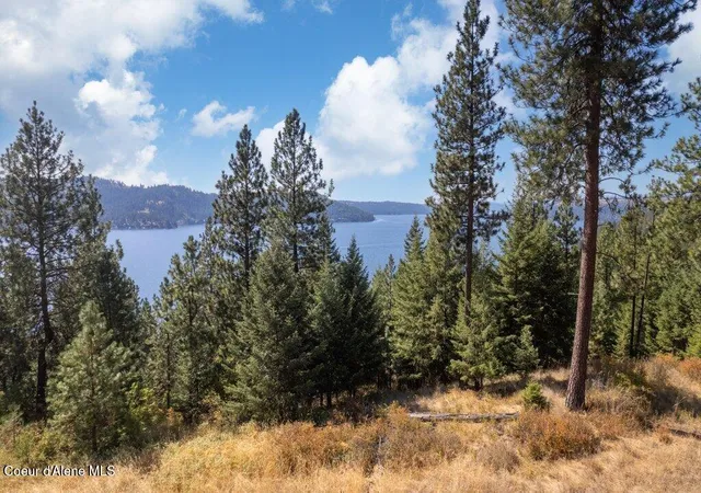 Photo 1 of Land for sale at L11 B2 Empty Nest Ln, Harrison, ID 83833 | MLS# 26-8742 | Listing updated on 2026-08-25