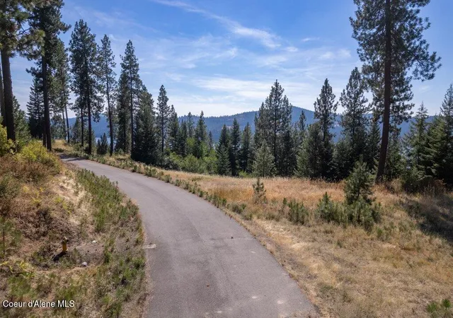 Photo 3 of Land for sale at L11 B2 Empty Nest Ln, Harrison, ID 83833 | MLS# 26-8742 | Listing updated on 2026-08-25