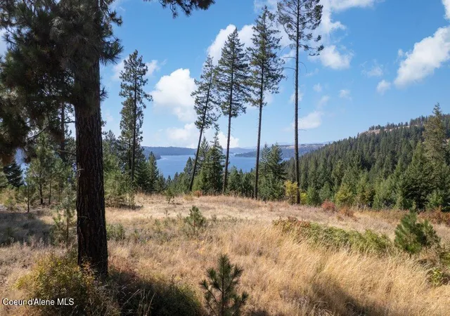 Photo 4 of Land for sale at L11 B2 Empty Nest Ln, Harrison, ID 83833 | MLS# 26-8742 | Listing updated on 2026-08-25