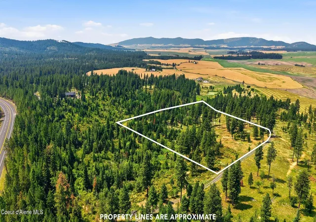 Photo 2 of Land for sale at 95 Acres Ranch Rd, Plummer, ID 83851 | MLS# 26-8755 | Listing updated on 2026-09-11