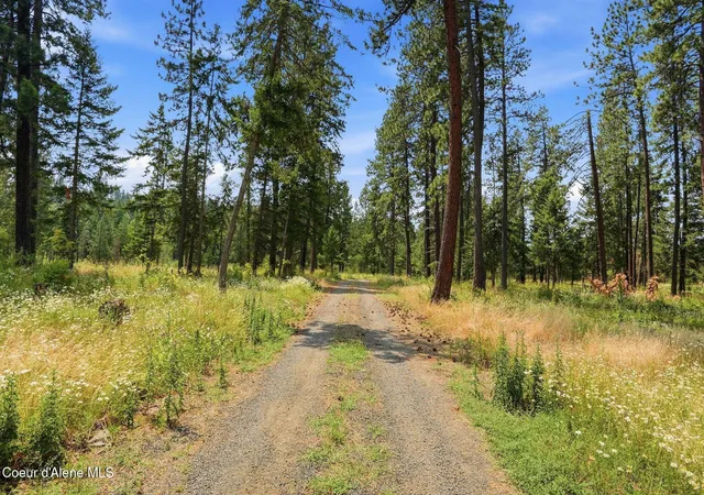 Photo 43 of Land for sale at 95 Acres Ranch Rd, Plummer, ID 83851 | MLS# 26-8755 | Listing updated on 2026-09-11