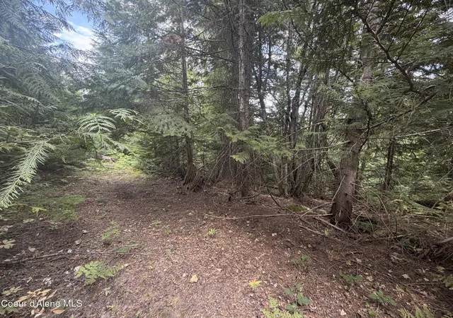 Photo 36 of Single family home for sale at 787 Delaney Dr, Sagle, ID 83860 | MLS# 26-8802 | Listing updated on 2026-09-08