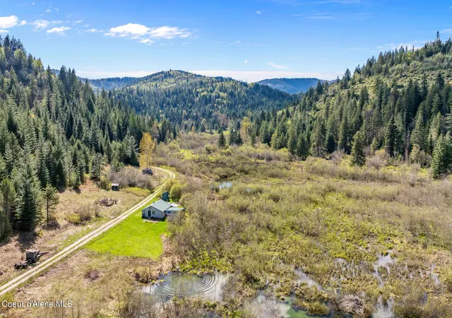 Photo 1 of Single family home for sale at 1791 Pup Paw Trl #50 Acres, Priest River, ID 83856 | MLS# 26-8854 | Listing updated on 2026-09-17