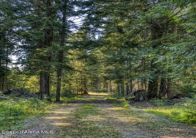 Photo 3 of Land for sale at 6529 Rapid Lightning Rd, Sandpoint, ID 83864 | MLS# 26-8879 | Listing updated on 2026-08-29