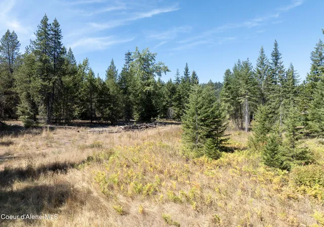 Photo 3 of Land for sale at Lot 1 Two River, Priest River, ID 83856 | MLS# 26-8926 | Listing updated on 2026-09-01