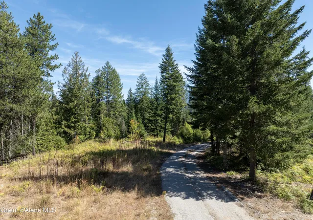 Photo 3 of Land for sale at Lot 1 Two River, Priest River, ID 83856 | MLS# 26-8926 | Listing updated on 2026-09-01