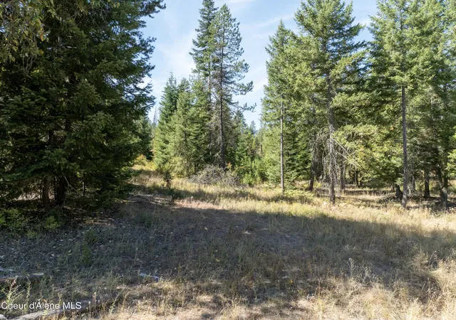 Photo 4 of Land for sale at Lot 1 Two River, Priest River, ID 83856 | MLS# 26-8926 | Listing updated on 2026-09-01