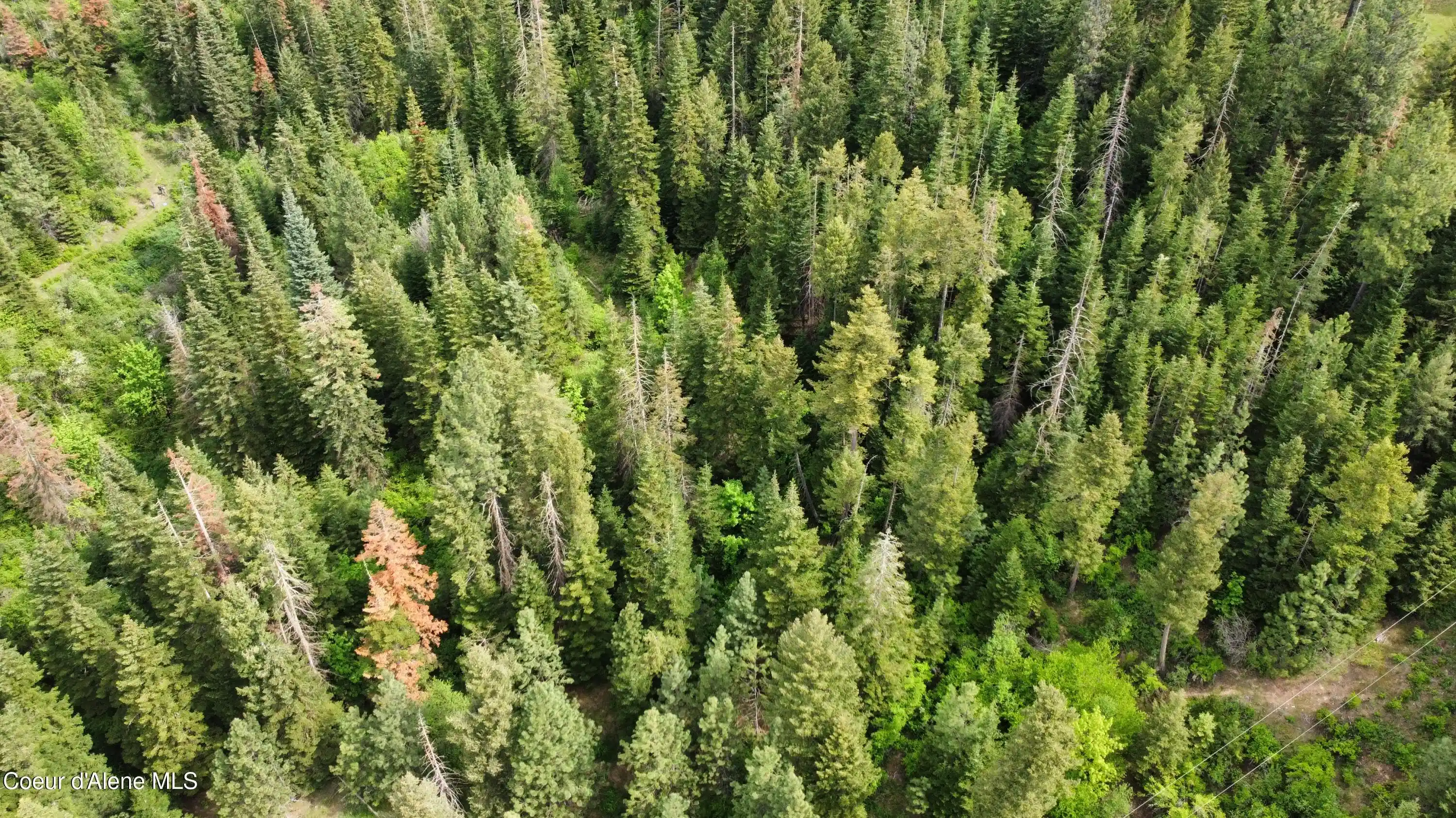 Land for sale at Nka Grandmas Way, Saint Maries, ID 83861 | MLS# 26-10324