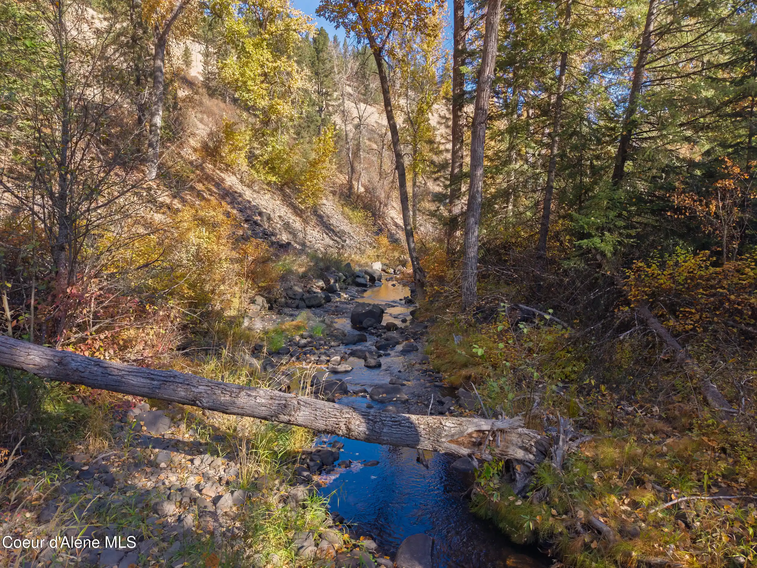Land for sale at 1005 Blake Crk Rd, Saint Maries, ID 83861 | MLS# 26-10259