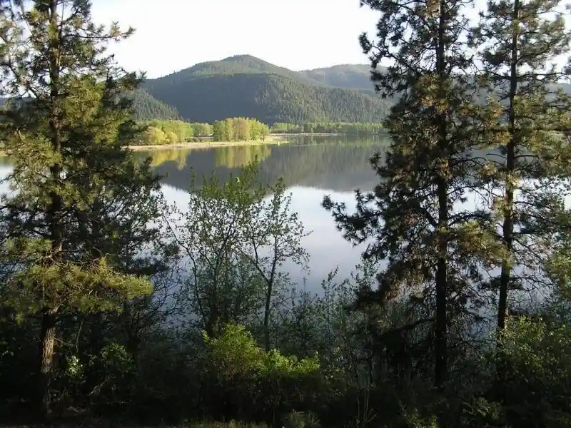 Land for sale at Nka Round Lake Rd, Saint Maries, ID 83861 | MLS# 26-10245