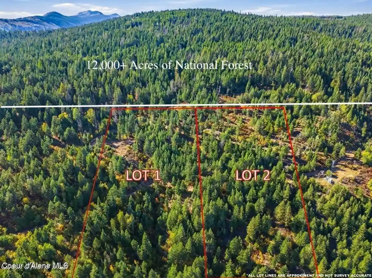 Land for sale at Lt 1/lt 2 Juniper Ln, Naples, ID 83847 | MLS# 26-10288