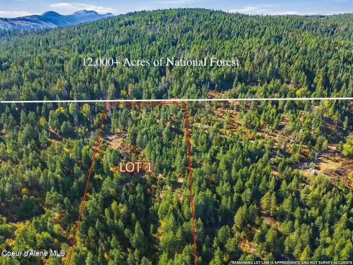 Land for sale at Nka Lt 1 Juniper Ln, Bonners Ferry, ID 83805 | MLS# 26-10295