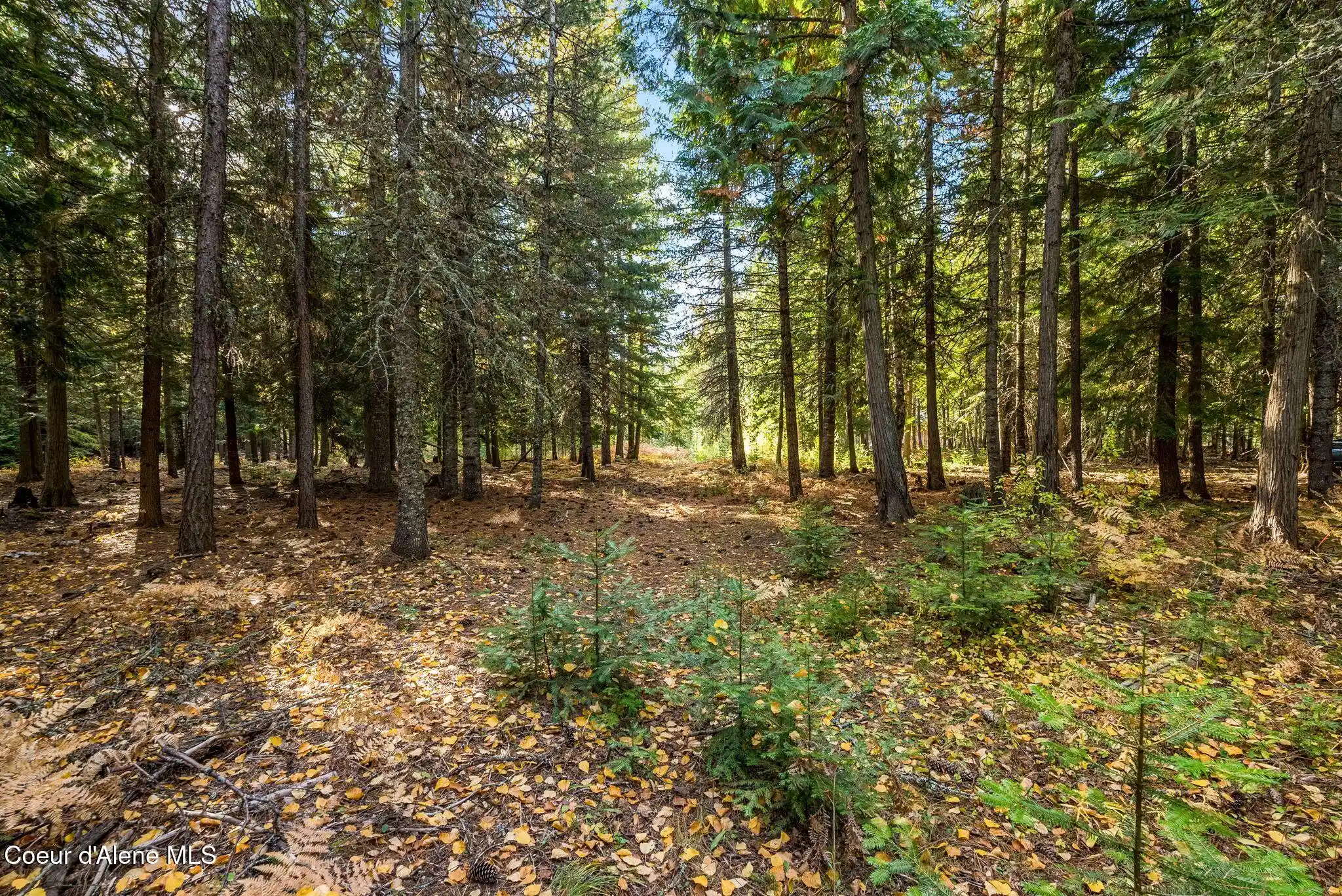 Land for sale at Nna Morris Rd, Naples, ID 83847 | MLS# 26-10321
