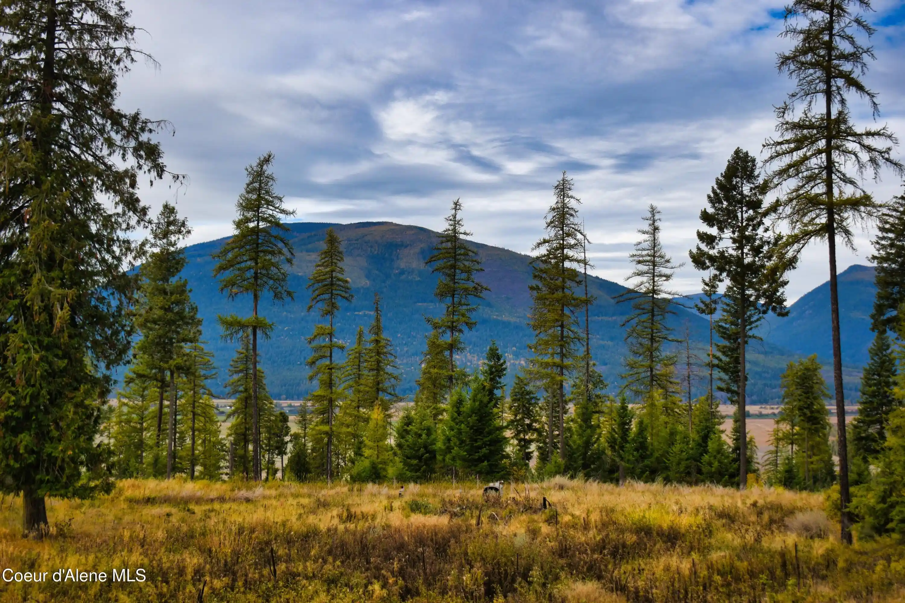 Land for sale at 273 Smugglers Ln, Bonners Ferry, ID 83805 | MLS# 26-10380