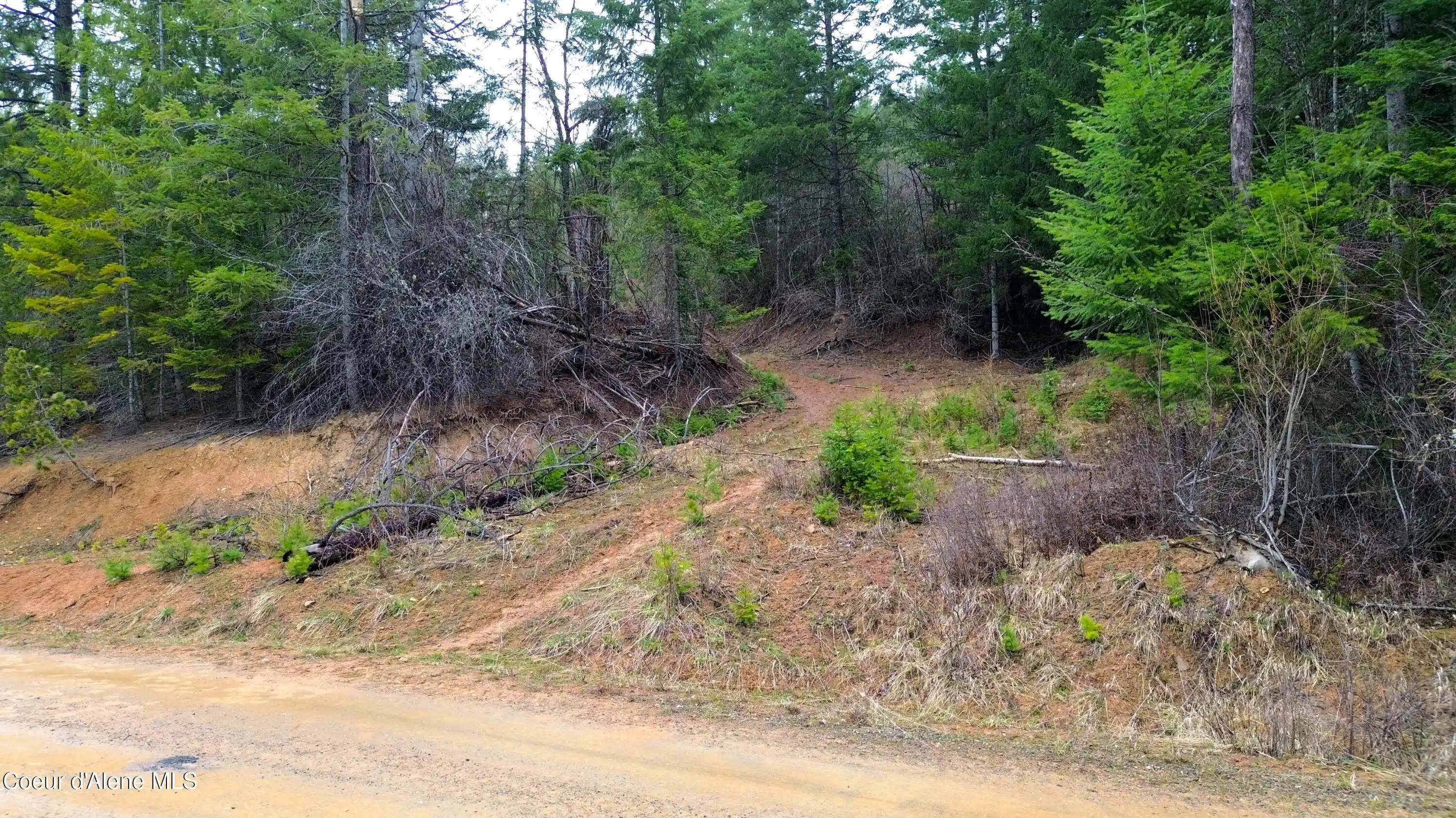 Land for sale at Nna Winchester Ln, Saint Maries, ID 83861 | MLS# 26-10415