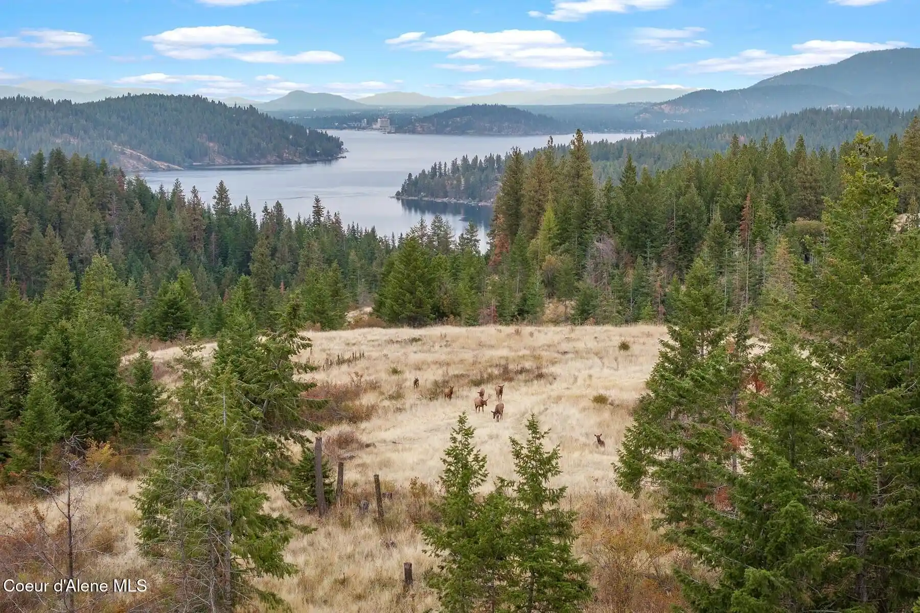 Land for sale at Nna Gotham Bay Rd, Harrison, ID 83833 | MLS# 26-10469