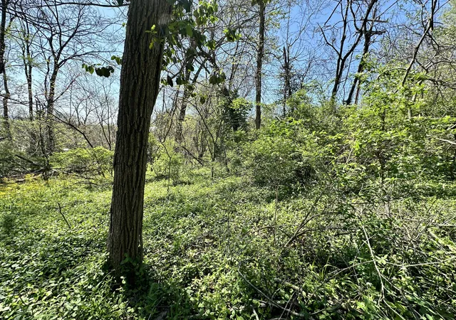 Photo 12 of Land for sale at 0 E Cunningham St, Martinsville, IN 46151 | MLS# 21973837 | Listing updated on 2026-08-04