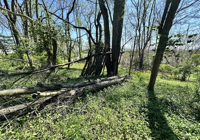 Photo 2 of Land for sale at 0 E Cunningham St, Martinsville, IN 46151 | MLS# 21973837 | Listing updated on 2026-08-04