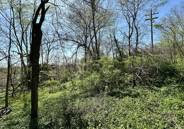 Photo 3 of Land for sale at 0 E Cunningham St, Martinsville, IN 46151 | MLS# 21973837 | Listing updated on 2026-08-04