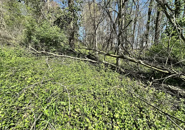 Photo 4 of Land for sale at 0 E Cunningham St, Martinsville, IN 46151 | MLS# 21973837 | Listing updated on 2026-08-04