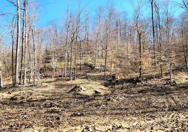 3rd image of Lot 5 Goat Hollow Estates, Martinsville, IN 46151 | MLS# 22022575