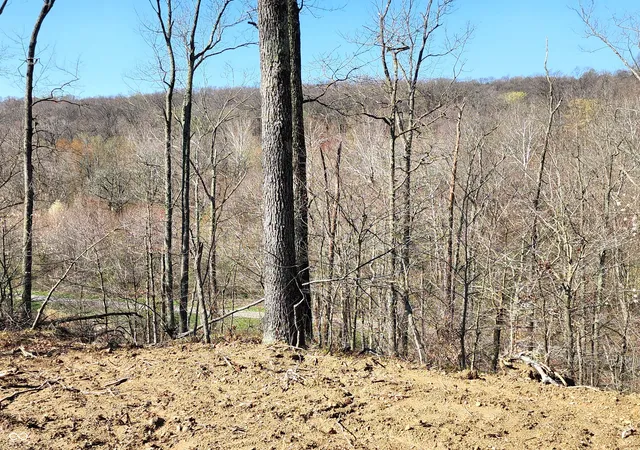 4th image of Lot 5 Goat Hollow Estates, Martinsville, IN 46151 | MLS# 22022575