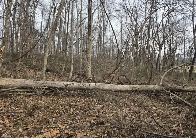 3rd image of 2749 E County Road 1200 N, Brazil, IN 47834 | MLS# 22030559