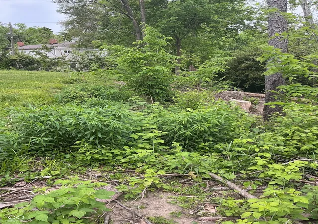 Photo 2 of Land for sale at 1943 Dequincy St, Indianapolis, IN 46218 | MLS# 22031502 | Listing updated on 2026-05-31
