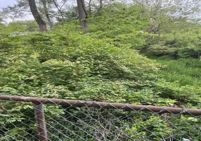 Photo 1 of Land for sale at 1943 Dequincy St, Indianapolis, IN 46218 | MLS# 22031502 | Listing updated on 2026-05-31