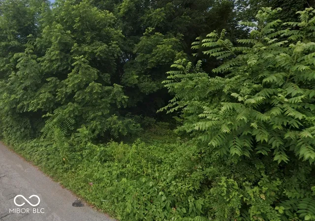 Photo 2 of Land for sale at 3118 N Euclid Ave, Indianapolis, IN 46218 | MLS# 22039705 | Listing updated on 2026-04-22