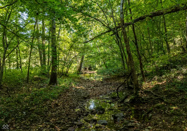 Photo 3 of Land for sale at 0 Newark N Rd, Solsberry, IN 47459 | MLS# 22060733 | Listing updated on 2026-09-21