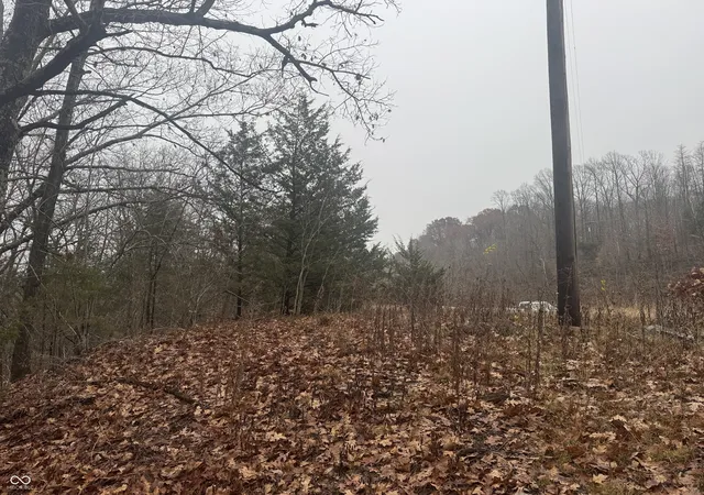 Photo 4 of Land for sale at 700 West, Reelsville, IN 46171 | MLS# 22076563 | Listing updated on 2026-09-24