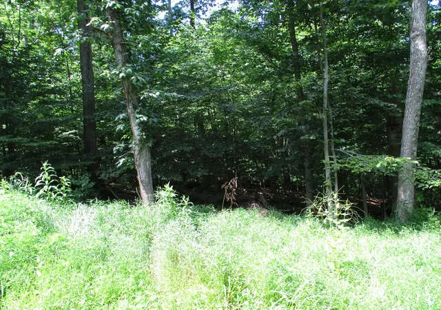 Photo 2 of Land for sale at 0 Glenwood E Dr, Martinsville, IN 46151 | MLS# 22076820 | Listing updated on 2026-07-31