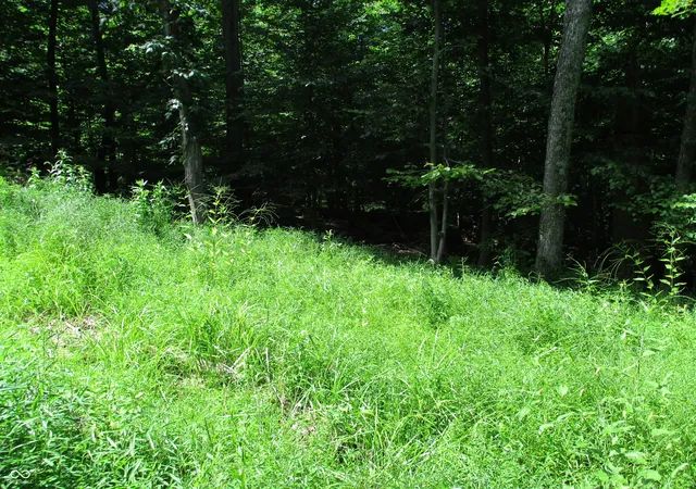 Photo 2 of Land for sale at 0 Glenwood E Dr, Martinsville, IN 46151 | MLS# 22076820 | Listing updated on 2026-07-31