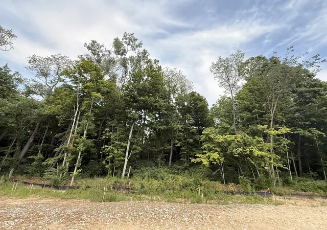 21st image of 9894 Cassia Dr, Carmel, IN 46290 | MLS# 22078905