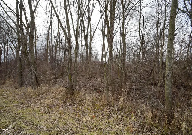 20th image of 00 N Pennsylvania St, Shirley, IN 47384 | MLS# 22080253