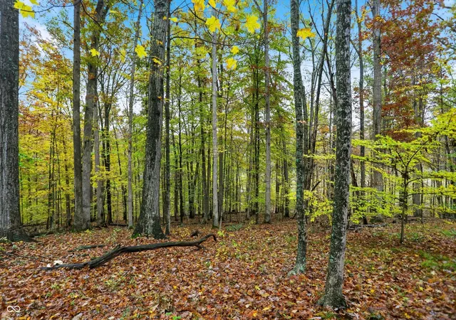 Photo 4 of Land for sale at Lot 20 Ridgeway Dr, Nashville, IN 47448 | MLS# 22086670 | Listing updated on 2026-03-04