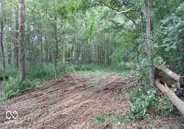 Photo 3 of Land for sale at 0 Fields Rd, Vallonia, IN 47281 | MLS# 22089524 | Listing updated on 2026-09-21