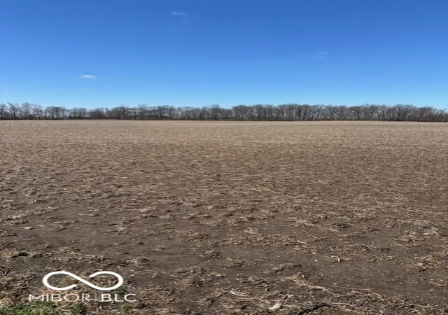 4th image of 0 County Rd 250 N, Frankfort, IN 46041 | MLS# 22091907